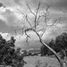 Marc Mousseau Photo 6