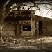 Will Foss Photo 8