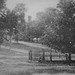 John Mcintire Photo 12