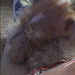 Rita Fox Photo 12
