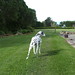 Dolly Robinson Photo 8