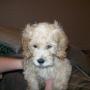 Dan Land Photo 26
