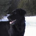 Quincy Ham Photo 6