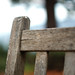 Jose Tostado Photo 10