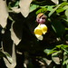 Mel Baga Photo 5
