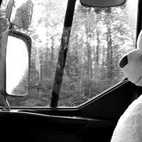 Michael Haran Photo 8