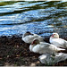 Stuart Hinds Photo 10