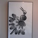 Kim Lane Photo 15