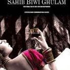 Arvind Saini Photo 30