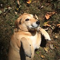 Molly Abbott Photo 15