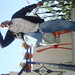 Lokesh Sharma Photo 10
