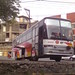 Mickey Pang Photo 1