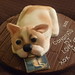 Michael Johns Photo 4
