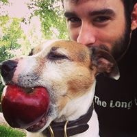 Travis Harmon Photo 14