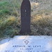 Lee Levy Photo 16