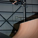 Lloyd Dill Photo 8