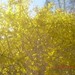 April Bright Photo 11