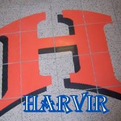 Harvir Singh Photo 15