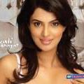Rashmi Patel Photo 37