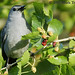 Mark Gray Photo 17