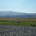 Joseph Stange Photo 7