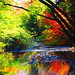 Marie Creek Photo 5