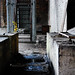 Balmain Stone Photo 8