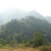 See Vang Photo 13