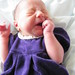 Addison Thomas Photo 11