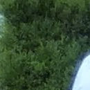 R E Photo 33