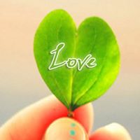 Manish Acharya Photo 16