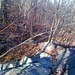 Christine Whittemore Photo 10