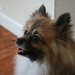 Sue Lathrop Photo 7