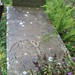 Mary Nutter Photo 11