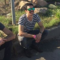 Avi Peltz Photo 5