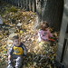 Clara Carter Photo 12