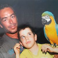 Pedro Amado Photo 25
