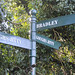 Bradley Workman Photo 7