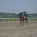 Joseph Berrios Photo 7