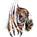 Rebecca Tiger Photo 4