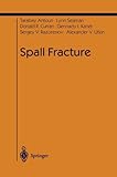 Spall Fracture (Shock Wave And High Pressure Phenomena)