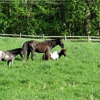 Susan Black Photo 22