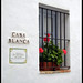 Blanca Gutierrez Photo 13