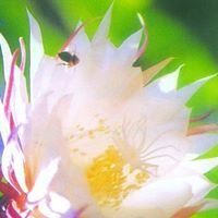 Xing Zheng Photo 20