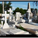 Angel Alamo Photo 9