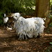 Mandy Wynn Photo 3