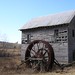 Virginia Roberson Photo 9