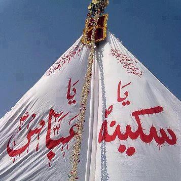 Hadi Shah Photo 21
