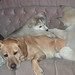 Bruce Eddie Photo 5