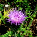 Sara Spikes Photo 3